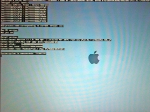 Riparazione MacBook Pro 15&Prime; Mid 2010 (Modello A1286) &ndash; Errore &ldquo;Panic Cpu 0 Caller&rdquo;