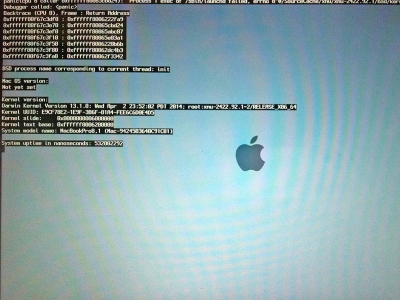 Riparazione MacBook Pro 15&Prime; Mid 2010 (Modello A1286) &ndash; Errore &ldquo;Panic Cpu 0 Caller&rdquo;